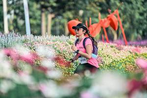 BIB: 
                            <button type="button" onclick="openModal(25932555)" class="btn btn-primary btn-sm float-right btn-popup" data-toggle="modal" data-target=".modal-high-quality">
                        <i class="fas fa-shopping-cart"></i> Add to Cart
                    </button>
                                            <button type="button" onclick="isThisMe(25932555, true)" class="btn btn-success btn-sm float-right btn-popup btn-isme hidden" data-toggle="tooltip" data-placement="bottom" title="นี่คือรูปของคุณใช่ไหม คลิกที่นี่เพื่อเอาเข้าอัลบั้ม">
                        <i class="fas fa-plus"></i> Add to album
                    </button>
                    <button type="button" onclick="isThisMe(25932555, false)" class="btn btn-warning btn-sm float-right btn-popup btn-isnotme hidden">
                        <i class="fas fa-ban"></i> Remove from album
                    </button>